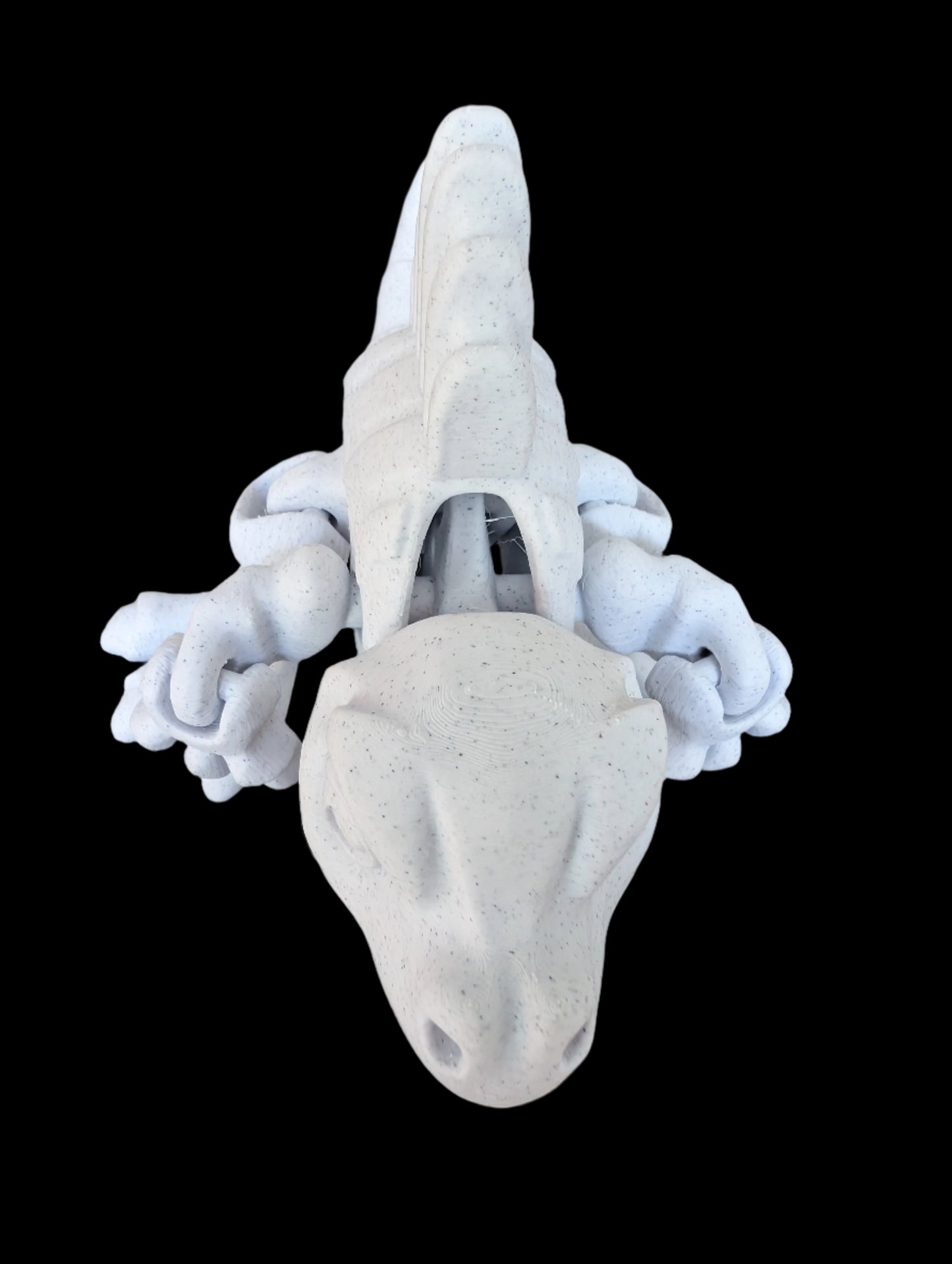 3D Print - Flexi Spino