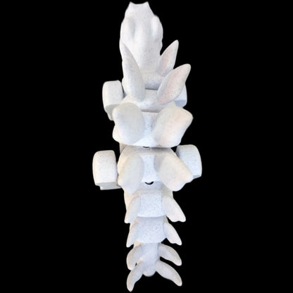 3D Print - Flexi Stego