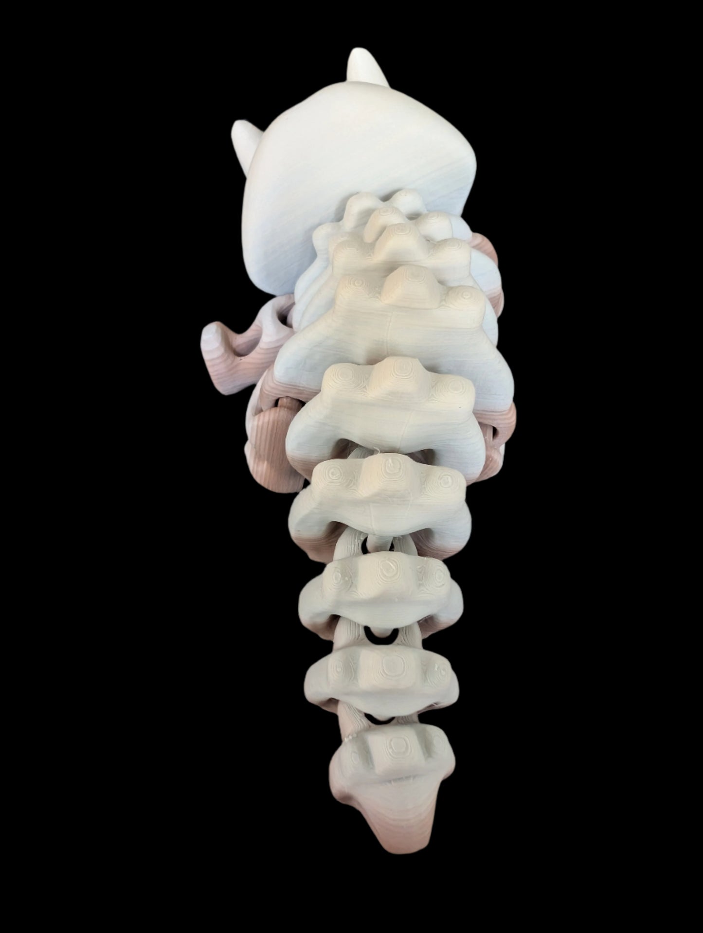 3D Print - Flexi Tricera