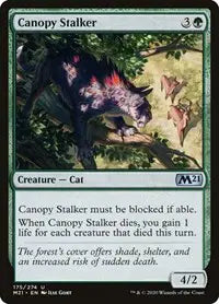 MTG — Core Set 2021 — Canopy Stalker #175 (NM)